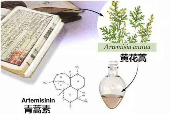 乐竞在线,乐竞在线（中国）：向中医药看齐，与世界共享中医药文化(图1)